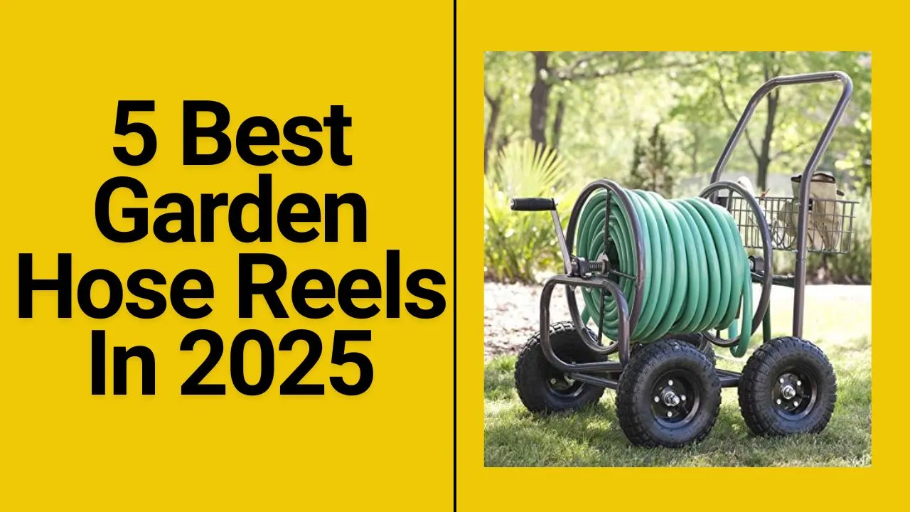 Top 5 Best Garden Hose Reels in 2025